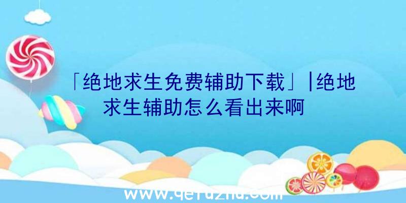 「绝地求生免费辅助下载」|绝地求生辅助怎么看出来啊